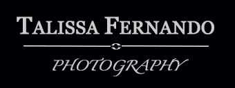 Talissa-Fernando-Photography-logo-silver-with-black-background-rectangle-medium